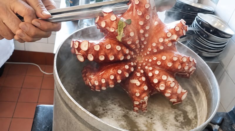 A cook lifts a whole octopus out of a steaming pot with tongs